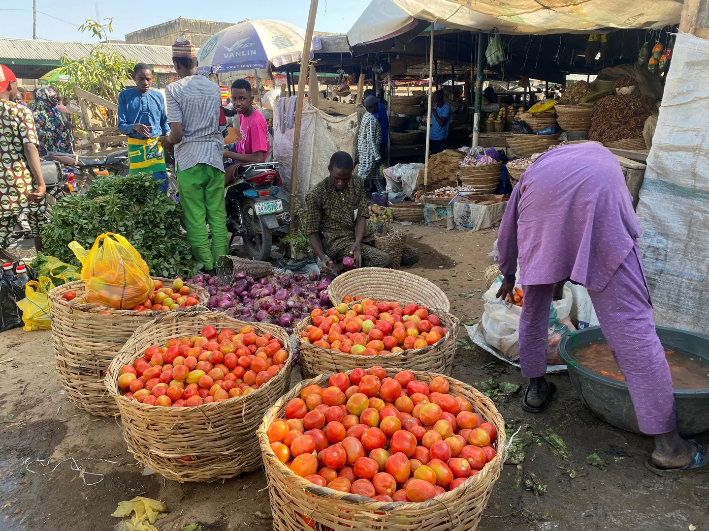 Gwamnatin Nijeriya ta ƙaddamar da shirin tallafin kuɗi na N50,000 ga ’yan ƙasar da ke cikin talauci