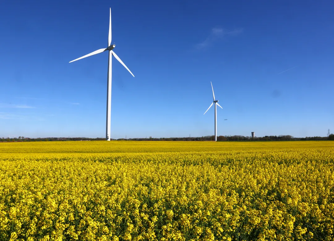Les renouvelables produisent plus d’électricité que le charbon en 2025, une première