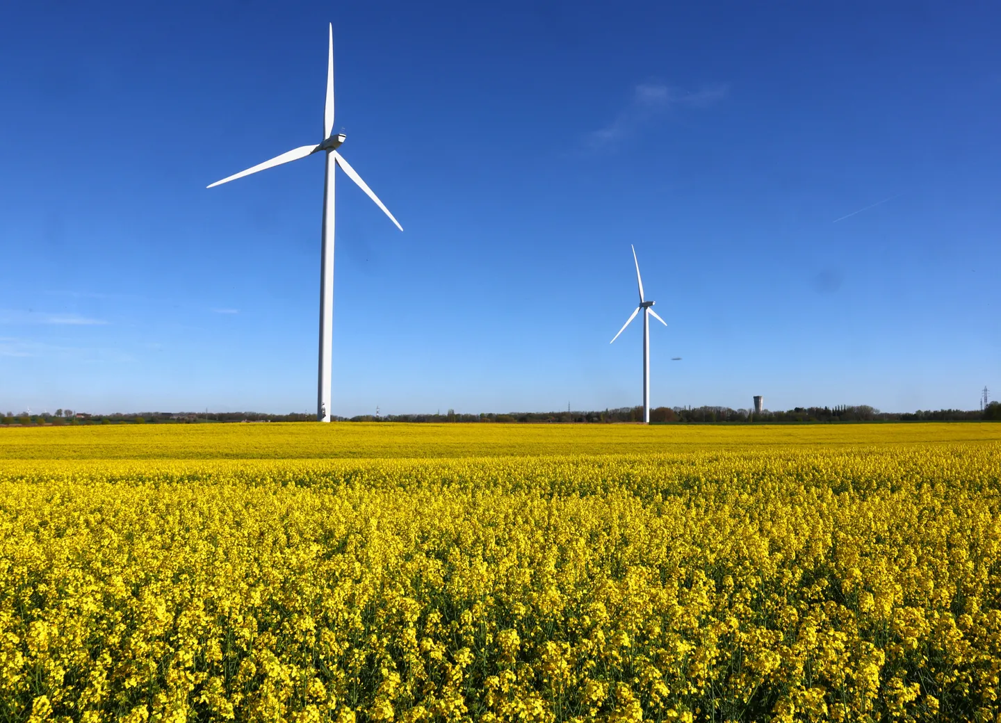 Les renouvelables produisent plus d’électricité que le charbon en 2025, une première