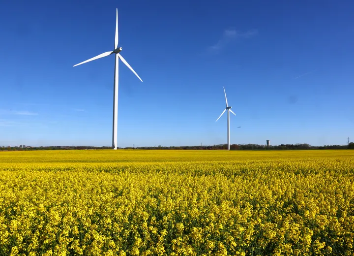 Les renouvelables produisent plus d’électricité que le charbon en 2025, une première