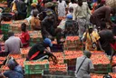 Tinubu tok say Nigeria GDP growth show say economic reforms dey work