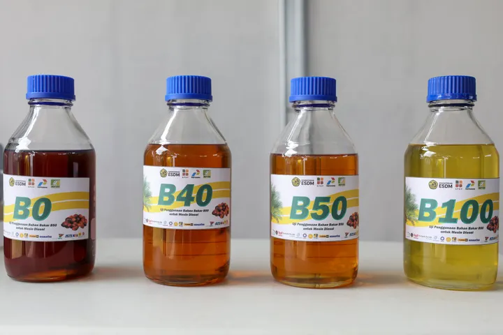 Pemerintah incar potensi penghematan Rp500 triliun dari hilirisasi bioetanol