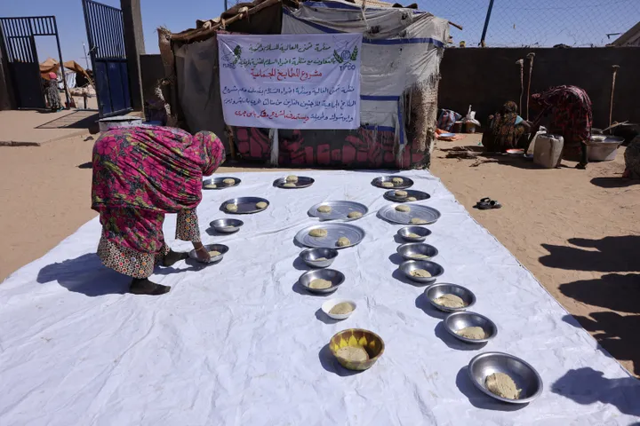Tchad: 4,5 millions de personnes, dont des réfugiés, ont besoin d'assistance humanitaire