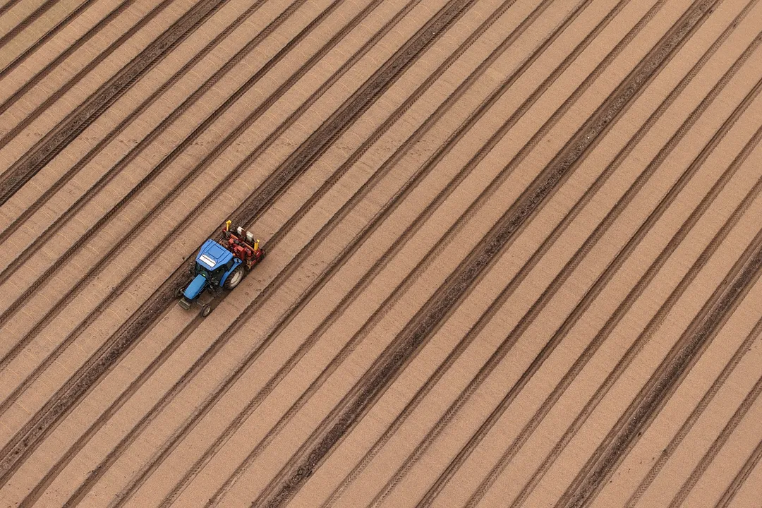 Mislukte oogsten en stijgende kosten door hitte trekken diepe sporen in Belgische landbouw