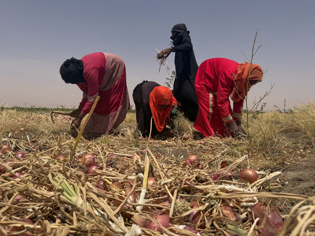 How is the Iran war pushing Sudan deeper into famine?