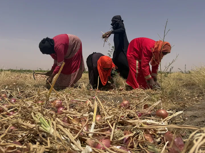 How is the Iran war pushing Sudan deeper into famine?