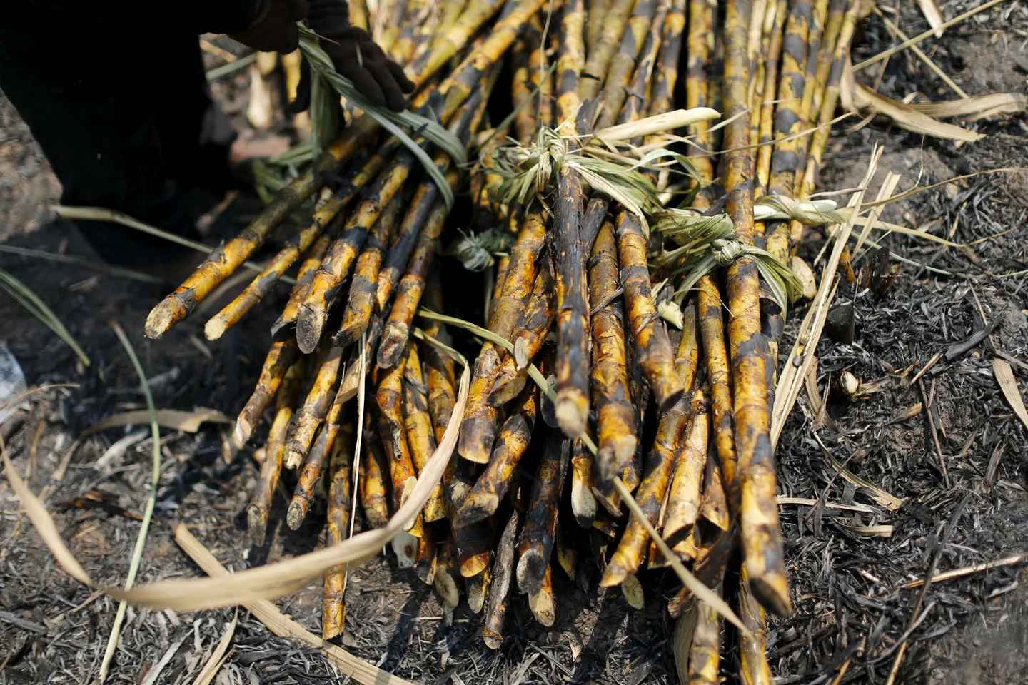 Nigeria dey plan to cut dia sugar import with $7bn plan