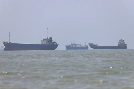 Enkele schepen onder Nederlandse vlag varen veilig door de Straat van Hormuz