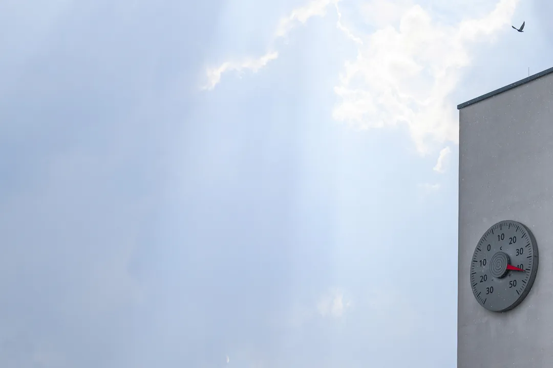 Folgen des Klimawandels: Verbände fordern mehr Taten der Politik