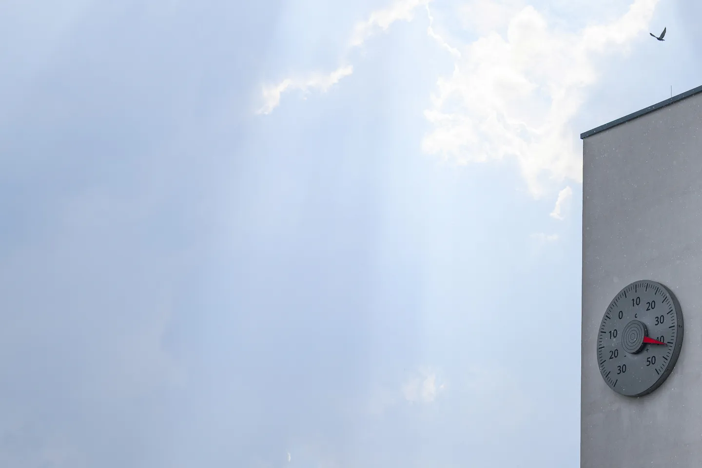 Folgen des Klimawandels: Verbände fordern mehr Taten der Politik