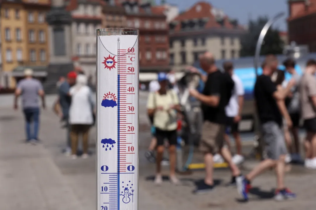 Upały i susze coraz większym wyzwaniem dla Polski. Ekspert apeluje o ochronę ekosystemów