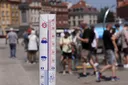 Upały i susze coraz większym wyzwaniem dla Polski. Ekspert apeluje o ochronę ekosystemów