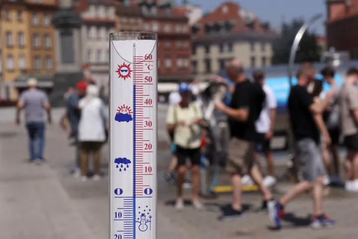 Upały i susze coraz większym wyzwaniem dla Polski. Ekspert apeluje o ochronę ekosystemów