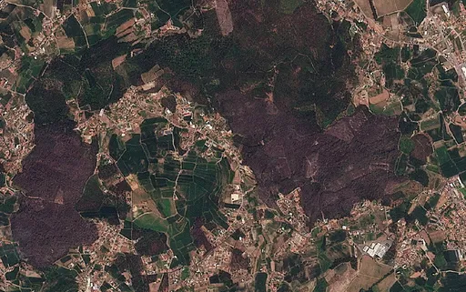 Italy sees surge in wildfires as burned area rises 133 percent above 20-year average: WWF