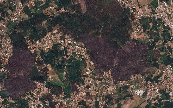 Italy sees surge in wildfires as burned area rises 133 percent above 20-year average: WWF