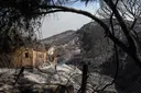 Dodental bosbrand Andalusië loopt op tot dertien: mogelijk drie Belgische slachtoffers