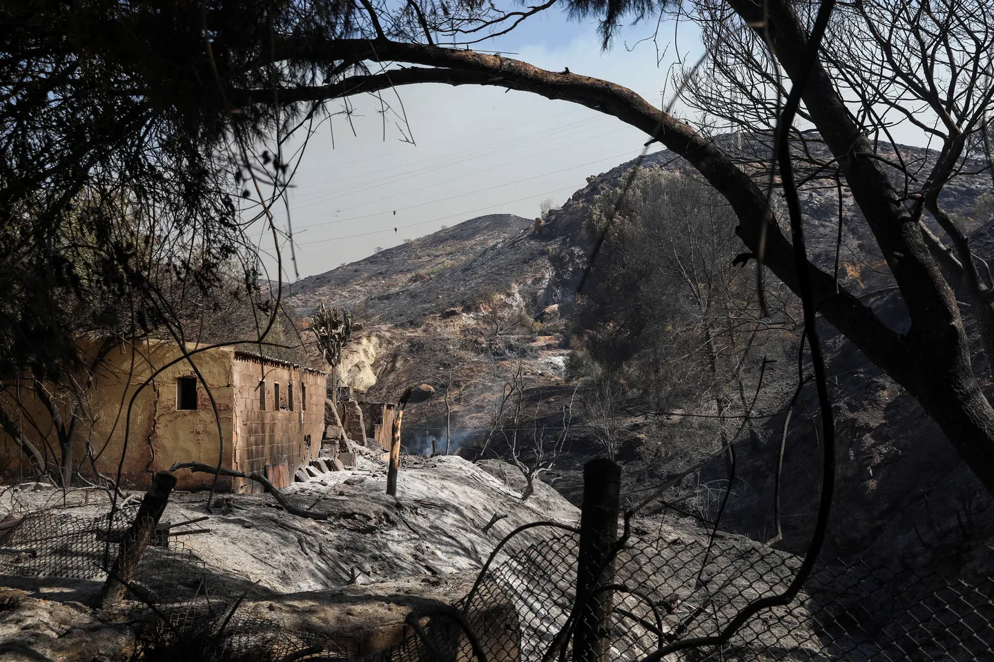 Dodental bosbrand Andalusië loopt op tot dertien: mogelijk drie Belgische slachtoffers