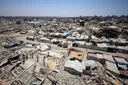Serpientes y escorpiones: la amenaza silenciosa que acecha a los desplazados de Gaza