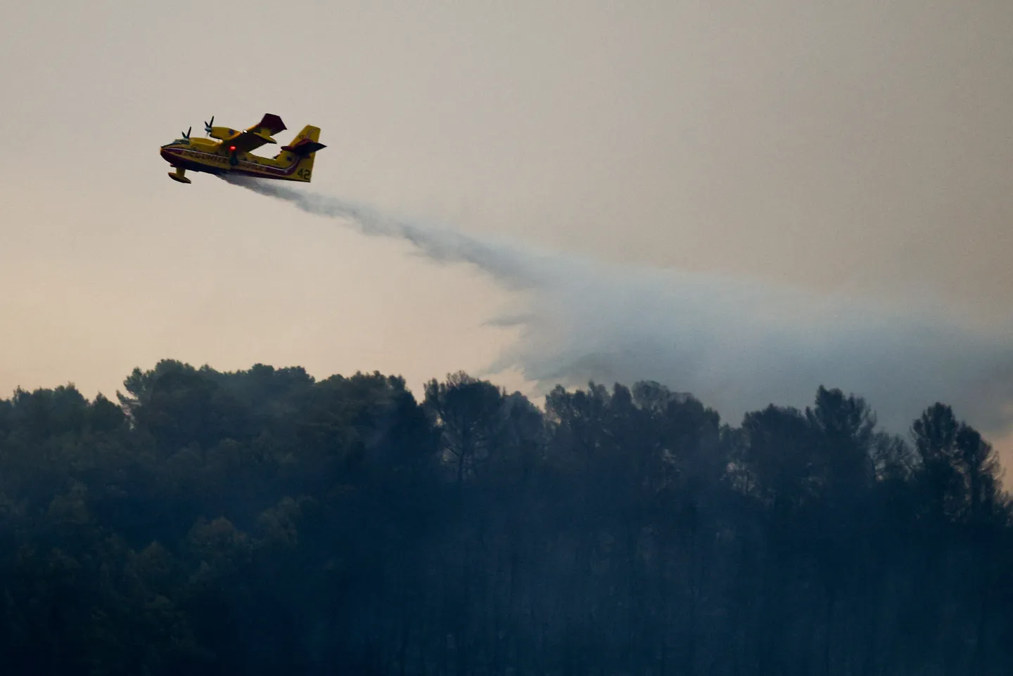 La canicule attise les incendies en France