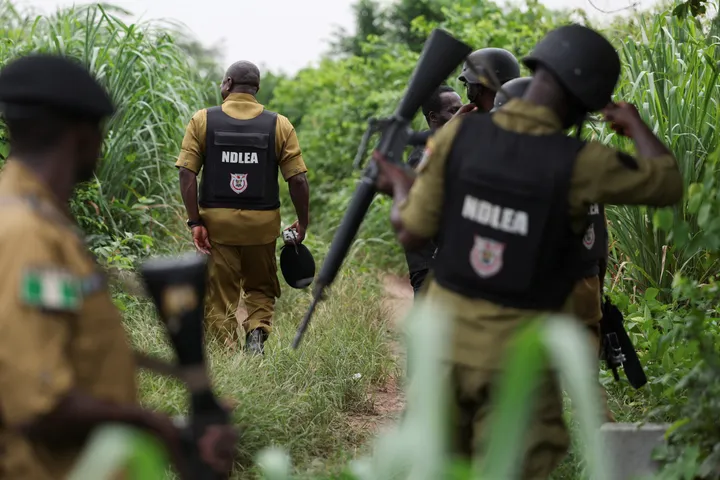 NDLEA ta kama mutum 1,860, ta ƙwace tan 5.4 na miyagun ƙwayoyi a Kano