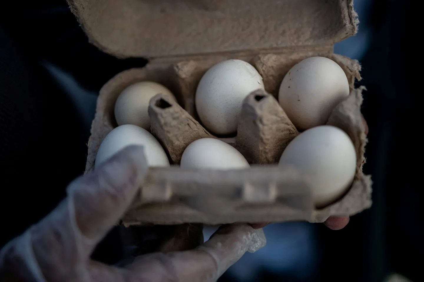 US recalls millions of eggs after salmonella risk identified