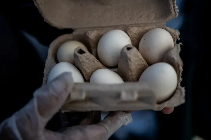 US recalls millions of eggs after salmonella risk identified