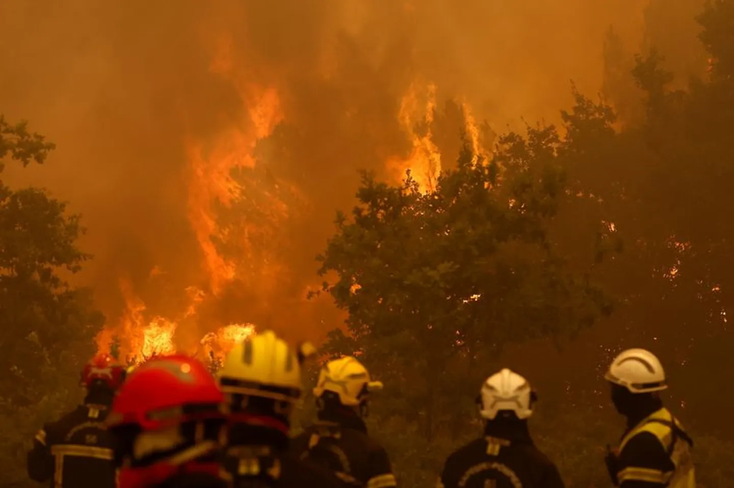 Incendies: près de 98.000 hectares brûlés en France, un "record historique"