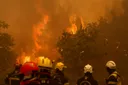 Incendies: près de 98.000 hectares brûlés en France, un "record historique"