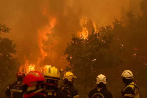 Incendies: près de 98.000 hectares brûlés en France, un "record historique"