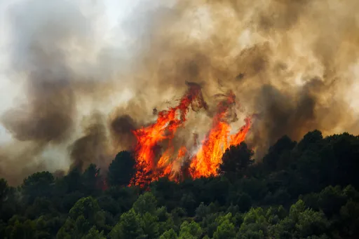 UN urges greater investment in wildfire prevention