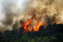 UN urges greater investment in wildfire prevention