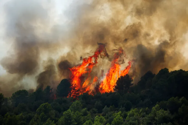UN urges greater investment in wildfire prevention