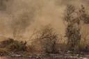 WMO alarmuje w sprawie jakości powietrza. Pożary mają coraz większe znaczenie