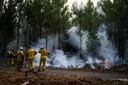 Incendies en France: situation stable, le feu "n'évolue plus"