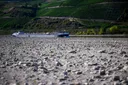Hittegolf, historische droogte en economische schade zetten Europa onder druk