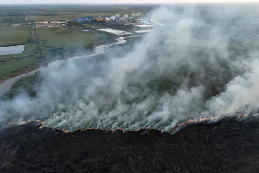 Puluhan hektare lahan gambut di Sumsel terbakar, tim gabungan berjibaku padamkan api