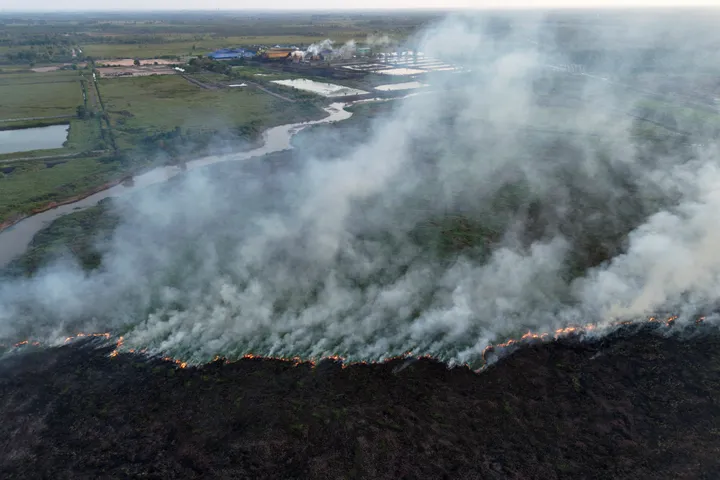 Puluhan hektare lahan gambut di Sumsel terbakar, tim gabungan berjibaku padamkan api