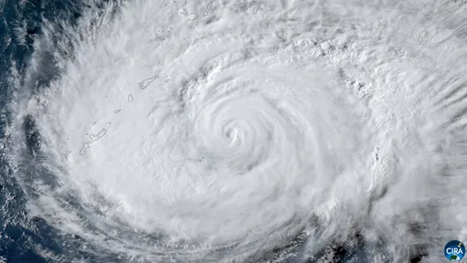 Japan's Okinawa airport suspends operations ahead of Typhoon Dolphin