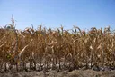 한국, 남동부 가뭄 대응 위해 전국 동원령 발령