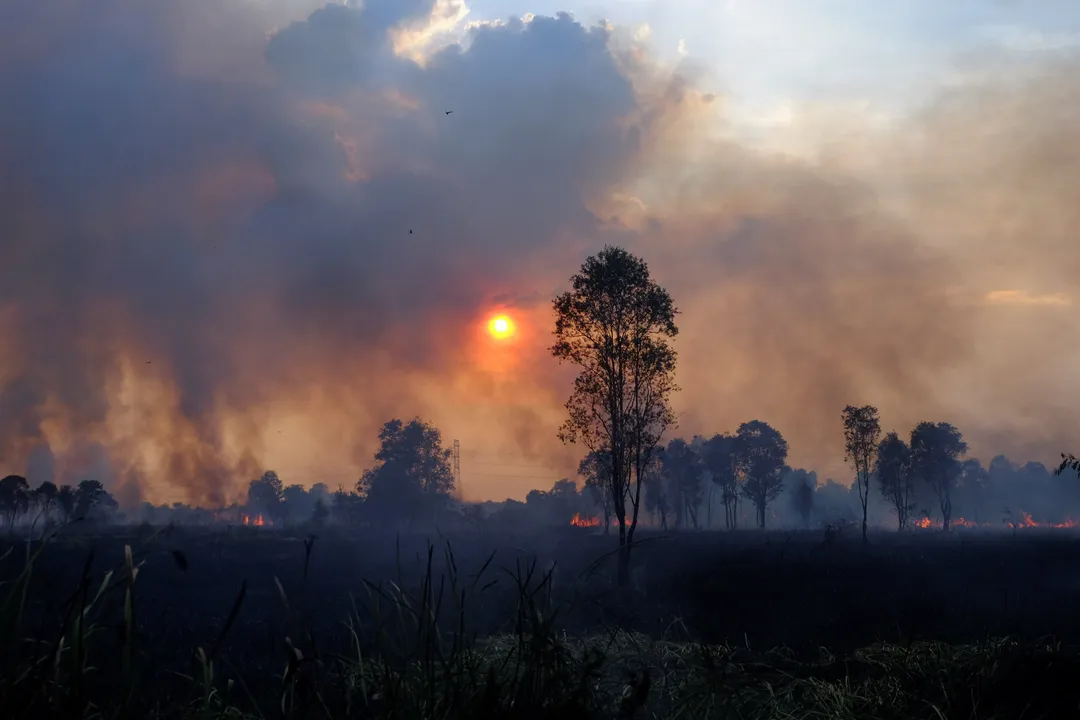 Kabut asap karhutla pekat, 3,4 juta warga terancam ISPA