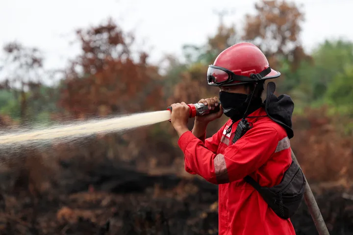 Kementerian Kehutanan sanksi enam perusahaan terkait karhutla 1.511 hektare di Kalimantan