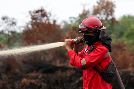 Kementerian Kehutanan sanksi enam perusahaan terkait karhutla 1.511 hektare di Kalimantan