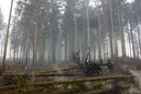 L’Europe sous la menace des feux de forêt