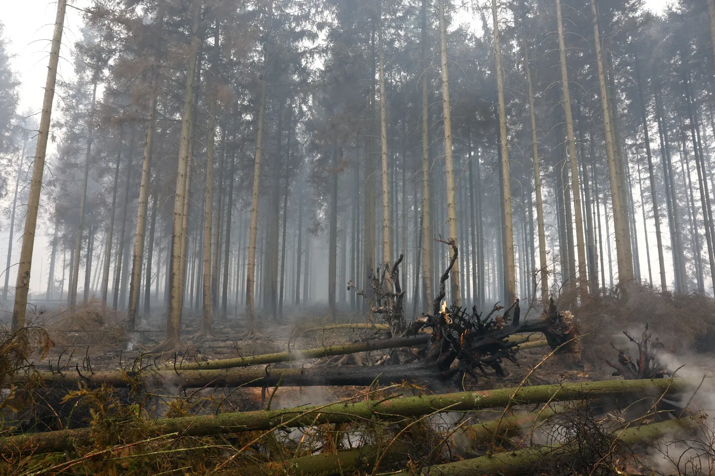 L’Europe sous la menace des feux de forêt