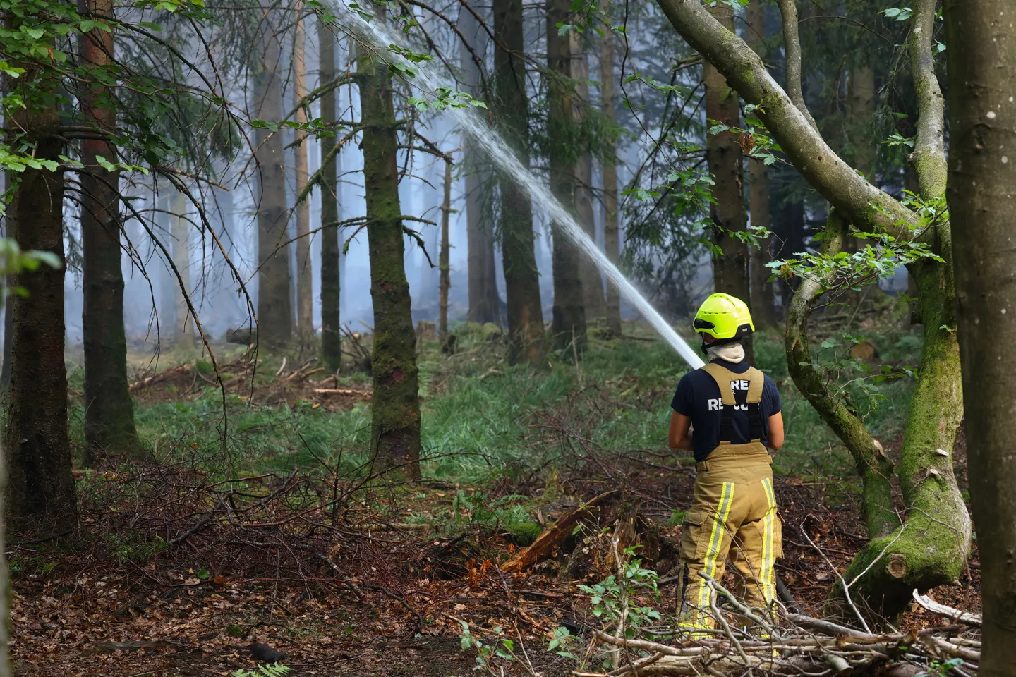 Belgian-German border wildfire eases after rain, but peat fires persist
