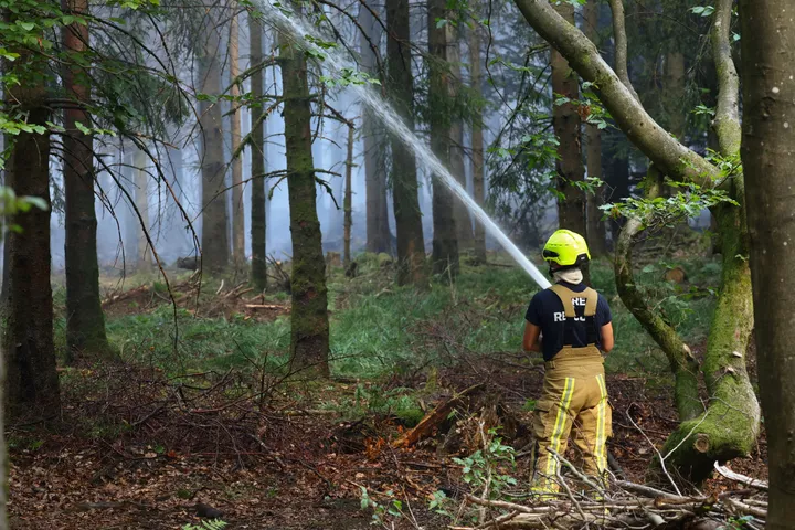 Belgian-German border wildfire eases after rain, but peat fires persist