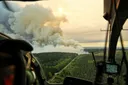België stelt nationaal plan op na recordbosbrand
