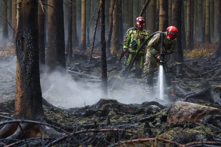 Nederland, België en Duitsland versterken samenwerking tegen toenemende dreiging van natuurbranden