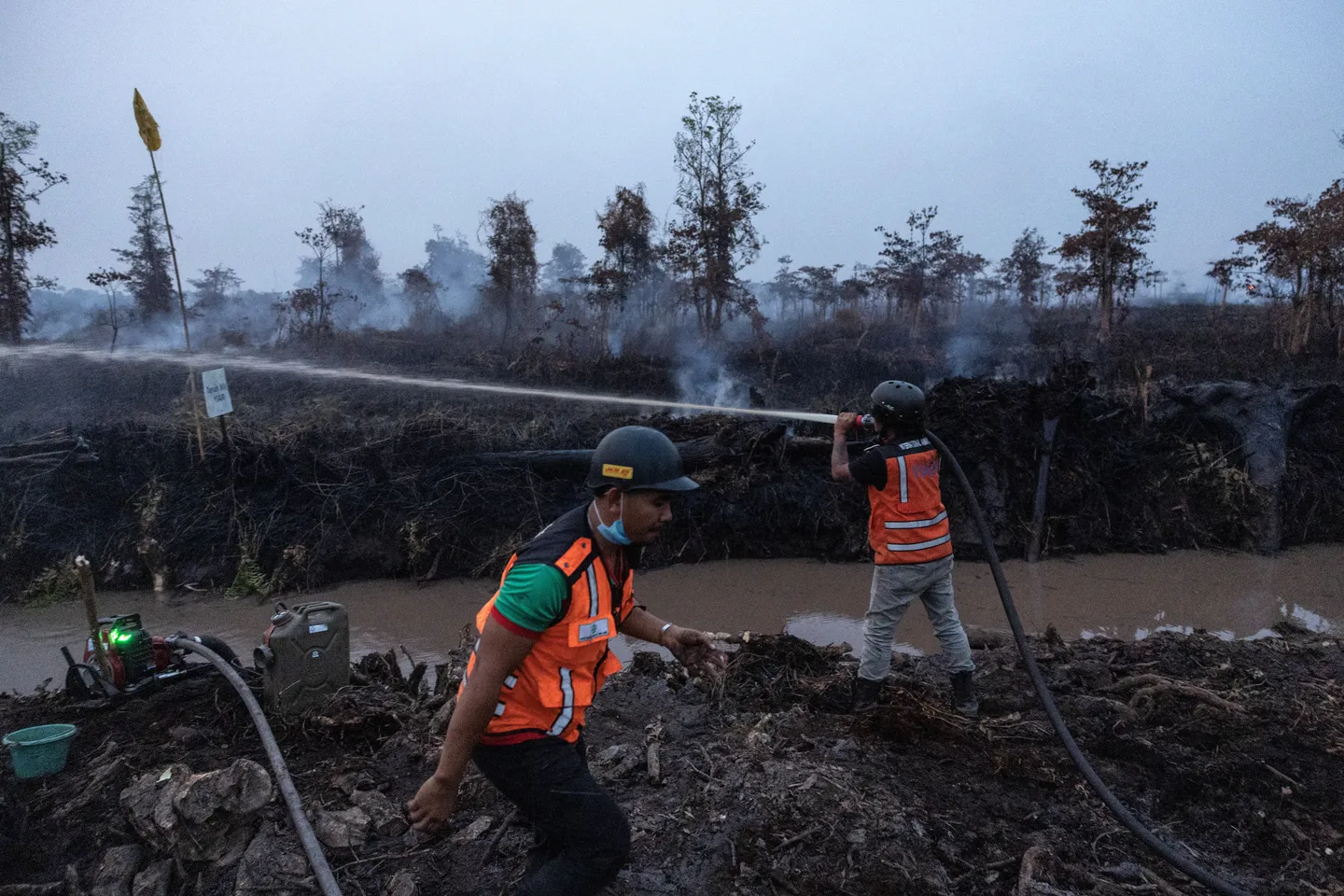 Kementerian Kehutanan bekukan izin 26 perusahaan terkait kasus karhutla