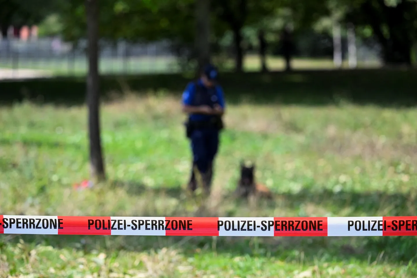 Schweiz: Festnahme nach tödlichen Schüssen bei Rave-Veranstaltung